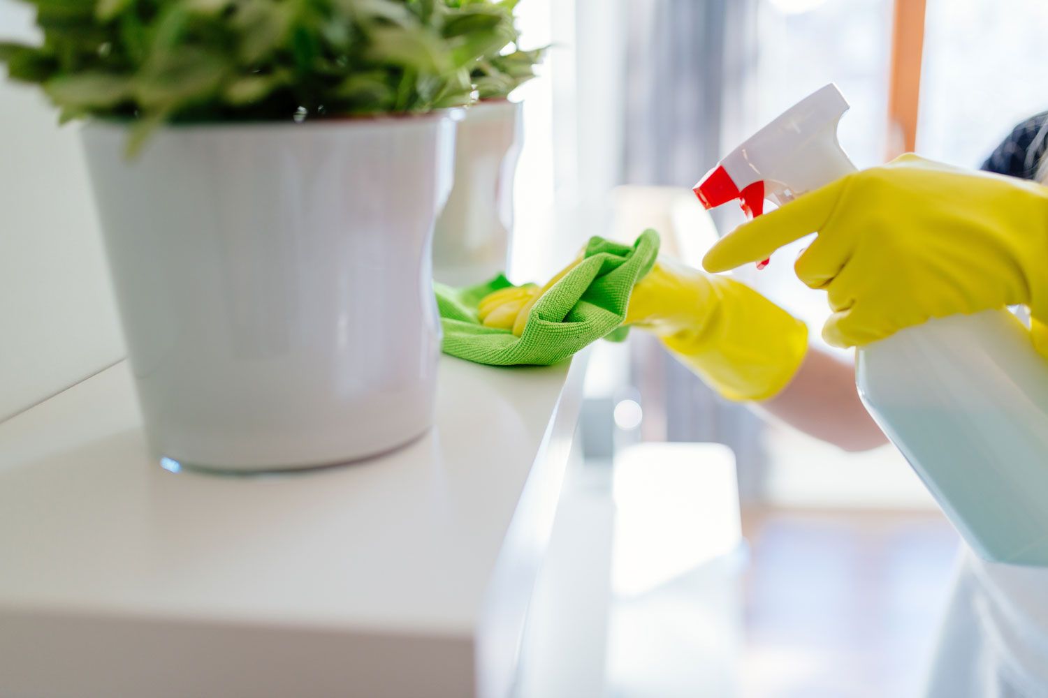 solihull domestic cleaners, cleaning client's house